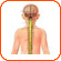 Nervous System
